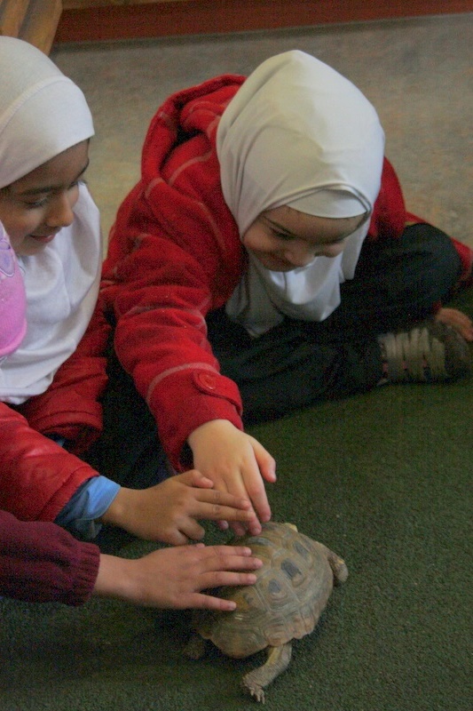 Foundation Excursion to Melbourne Zoo