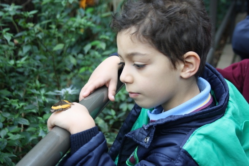 Foundation Excursion to Melbourne Zoo