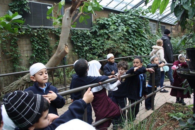 Foundation Excursion to Melbourne Zoo