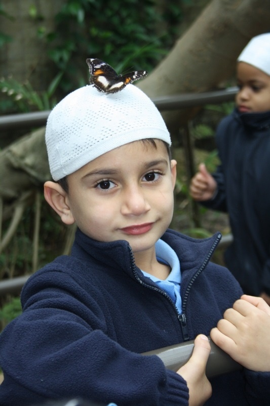 Foundation Excursion to Melbourne Zoo