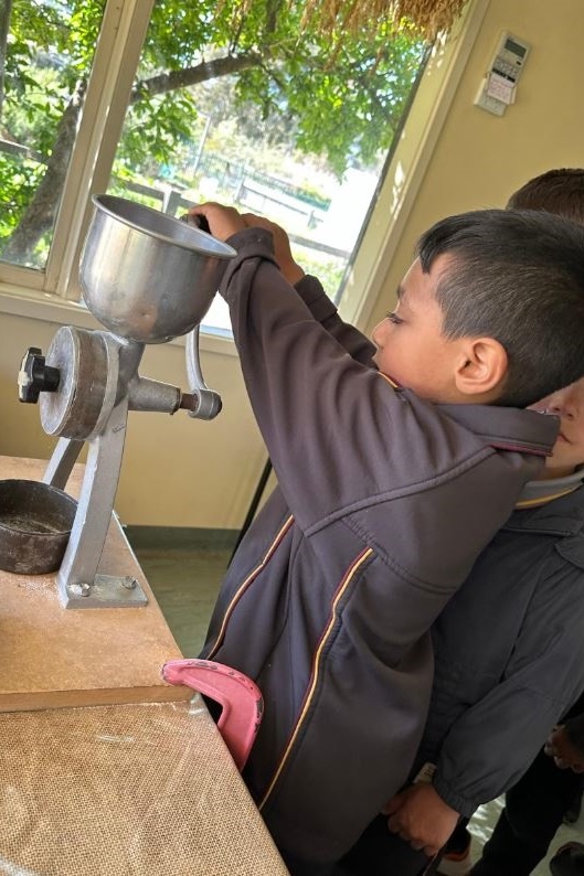 Foundation Excursion to Bundoora Farm