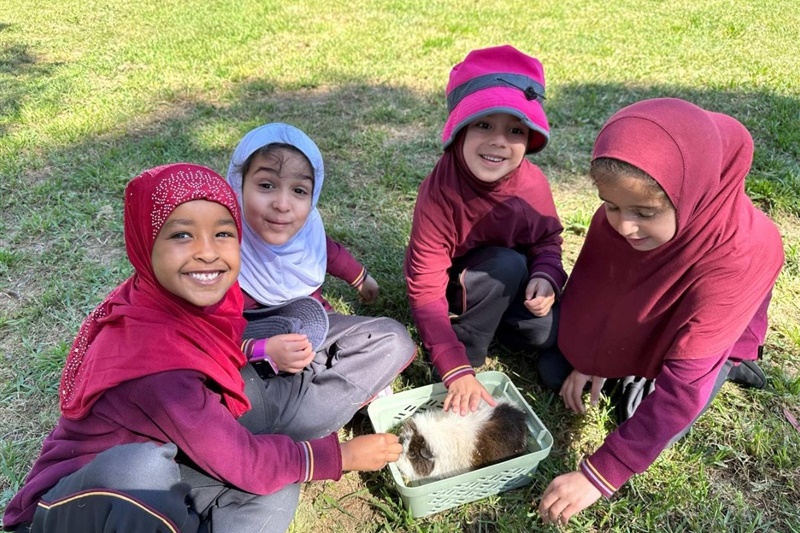 Foundation Excursion to Bundoora Farm