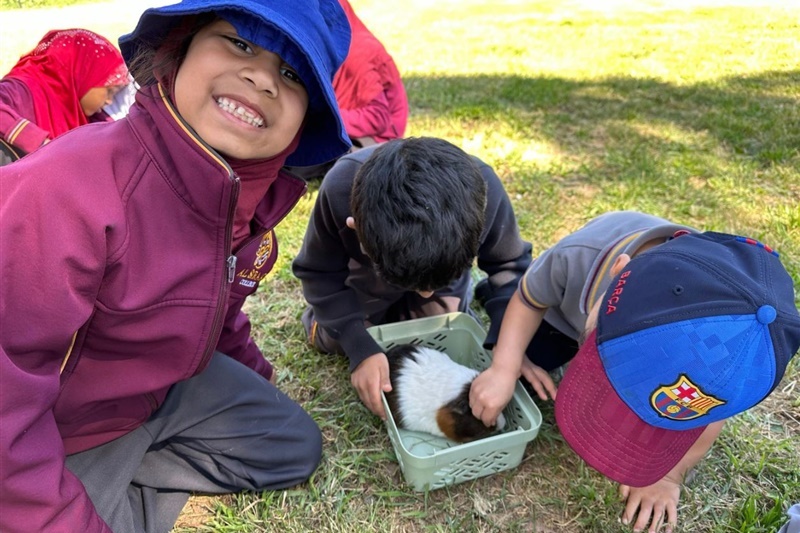 Foundation Excursion to Bundoora Farm