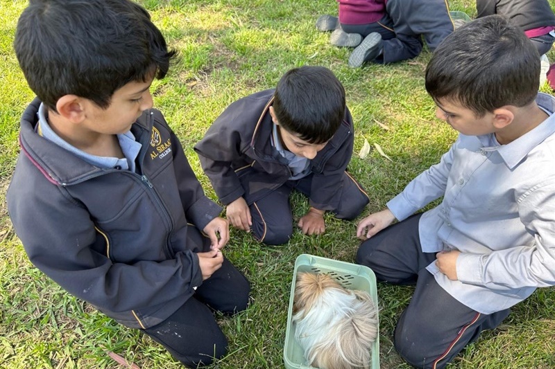 Foundation Excursion to Bundoora Farm