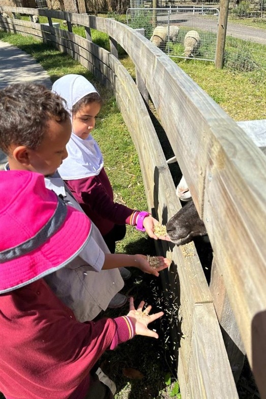 Foundation Excursion to Bundoora Farm