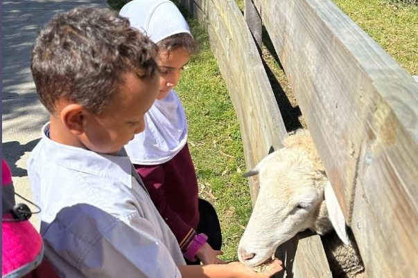 Foundation Excursion to Bundoora Farm