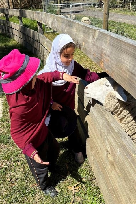 Foundation Excursion to Bundoora Farm