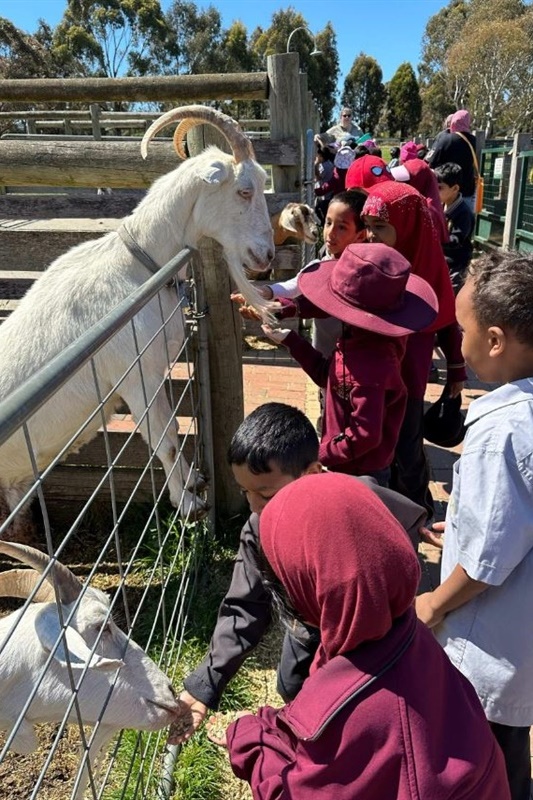 Foundation Excursion to Bundoora Farm