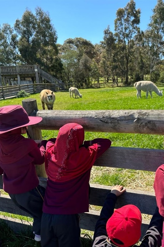 Foundation Excursion to Bundoora Farm