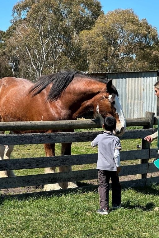 Foundation Excursion to Bundoora Farm