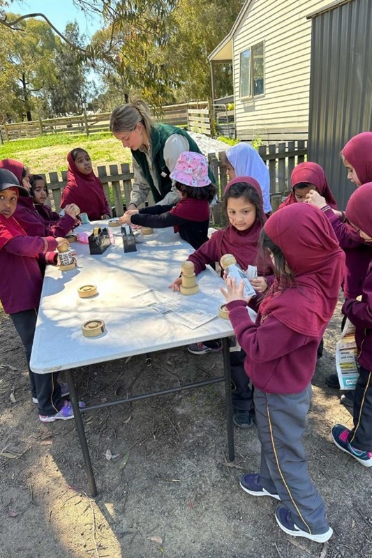 Foundation Excursion to Bundoora Farm