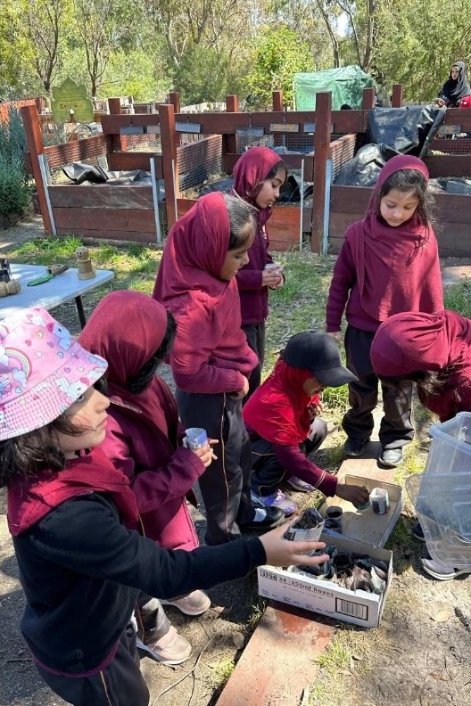 Foundation Excursion to Bundoora Farm