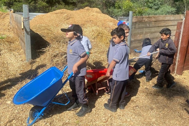 Foundation Excursion to Bundoora Farm