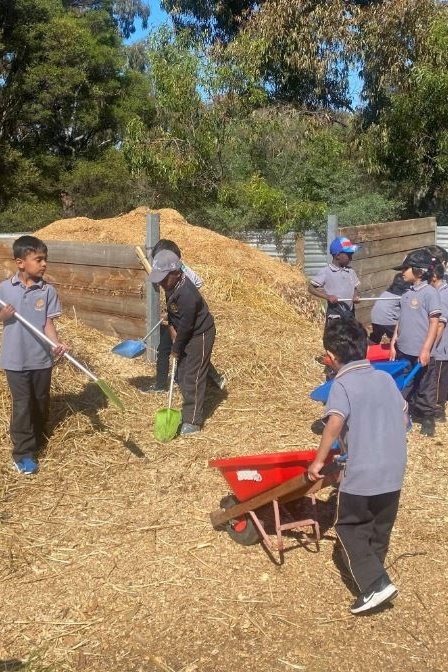 Foundation Excursion to Bundoora Farm