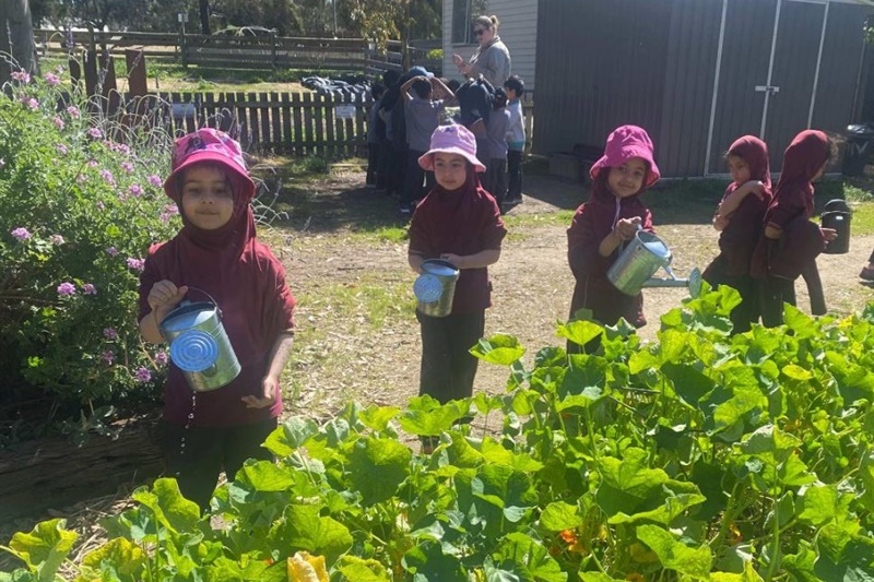 Foundation Excursion to Bundoora Farm