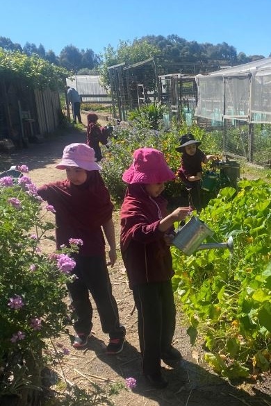 Foundation Excursion to Bundoora Farm