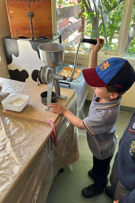 Foundation Excursion to Bundoora Farm