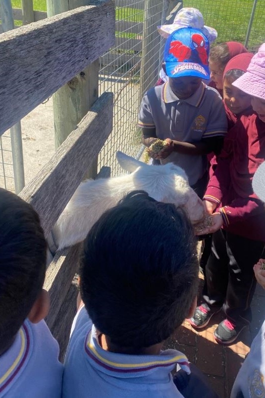 Foundation Excursion to Bundoora Farm