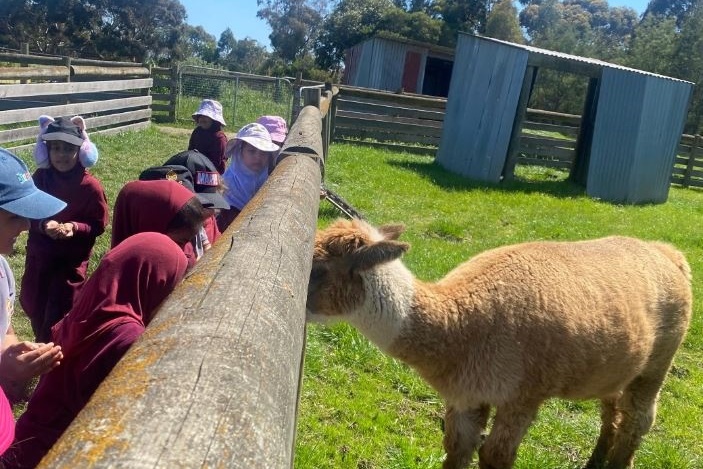 Foundation Excursion to Bundoora Farm