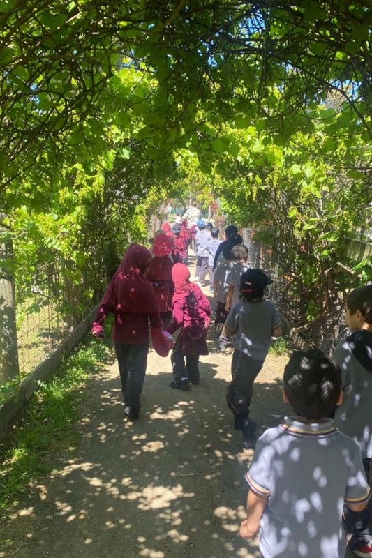 Foundation Excursion to Bundoora Farm