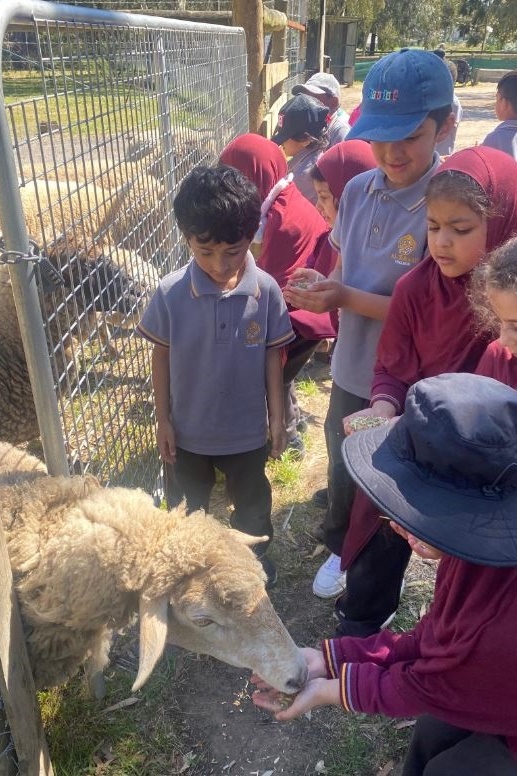 Foundation Excursion to Bundoora Farm