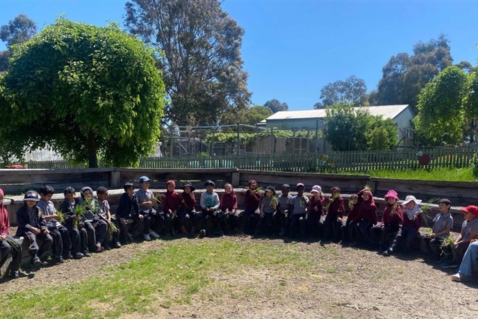 Foundation Excursion to Bundoora Farm