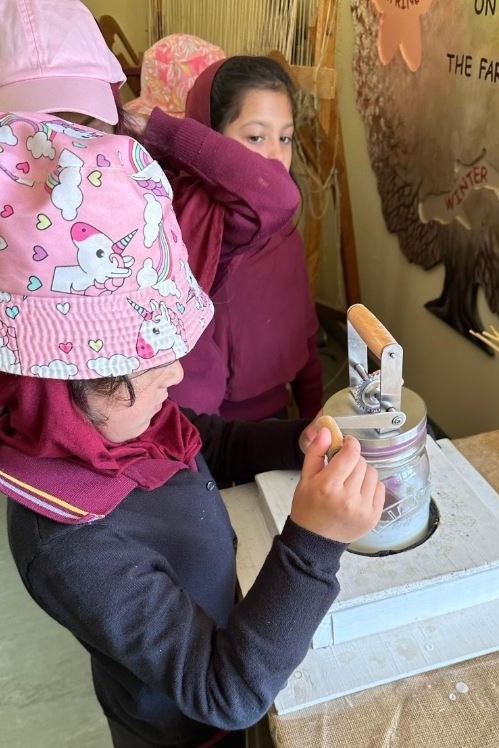 Foundation Excursion to Bundoora Farm