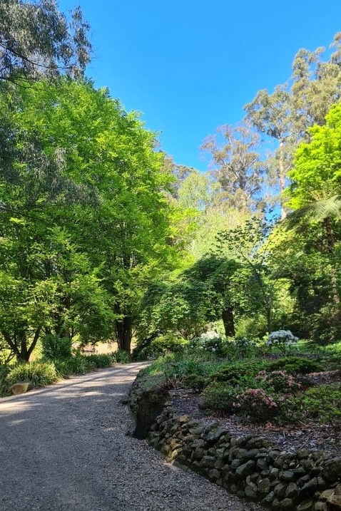 Year 12 Big Day Out at the Dandenongs