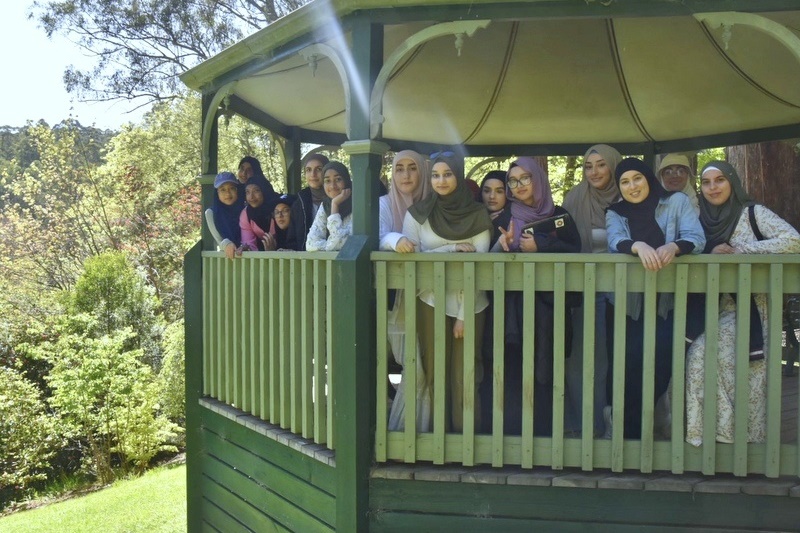 Year 12 Big Day Out at the Dandenongs