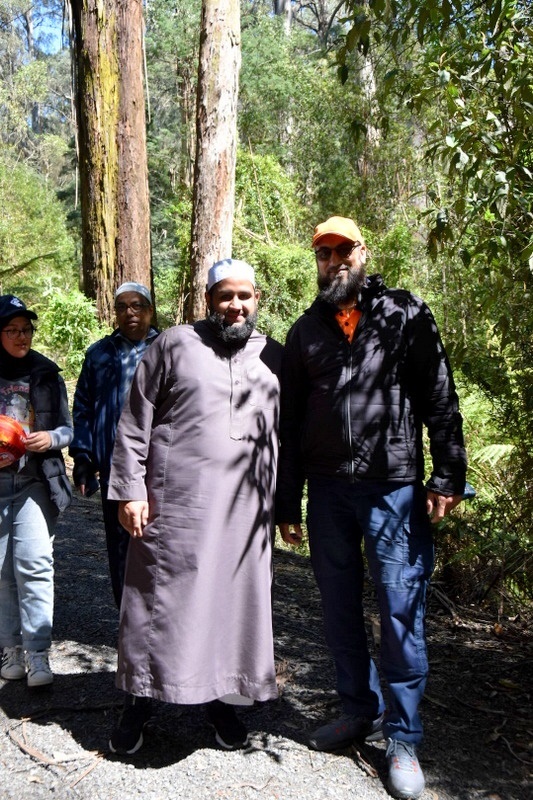 Year 12 Big Day Out at the Dandenongs