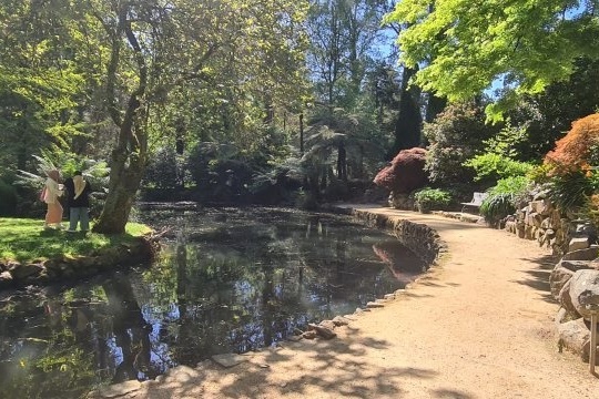 Year 12 Big Day Out at the Dandenongs