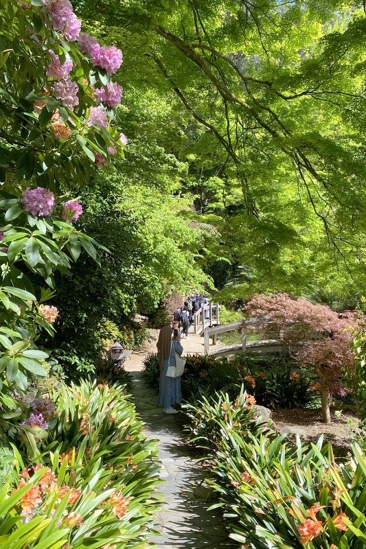 Year 12 Big Day Out at the Dandenongs