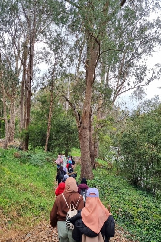 Year  5 and 6 Girls Camp Jungai