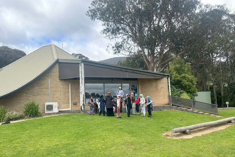 Year  5 and 6 Girls Camp Jungai