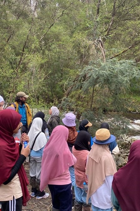 Year  5 and 6 Girls Camp Jungai