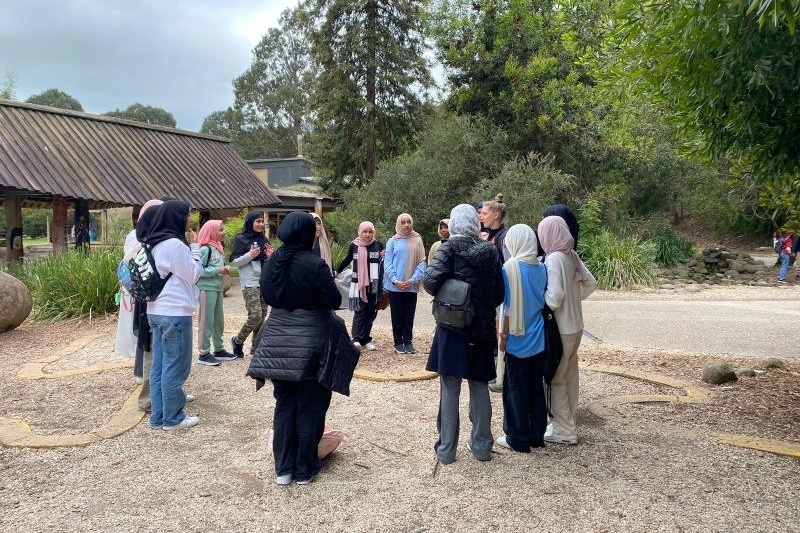 Year  5 and 6 Girls Camp Jungai