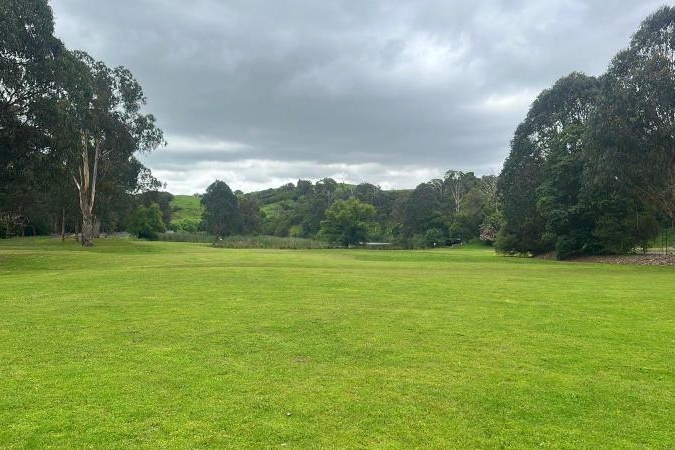 Year  5 and 6 Girls Camp Jungai