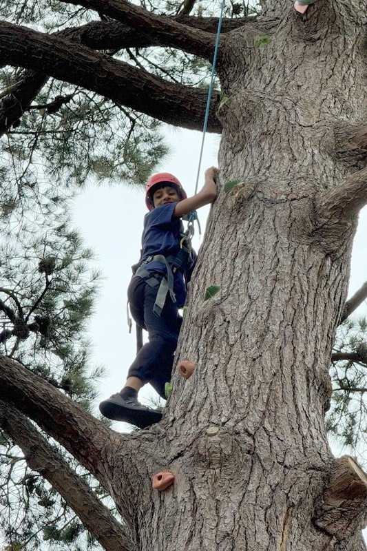 Year 8 Boys: Illuka Retreat and Camp