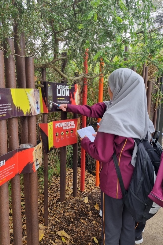 Year 7 and 8 Girls: Melbourne Zoo Excursion