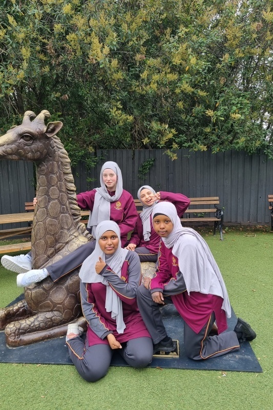 Year 7 and 8 Girls: Melbourne Zoo Excursion