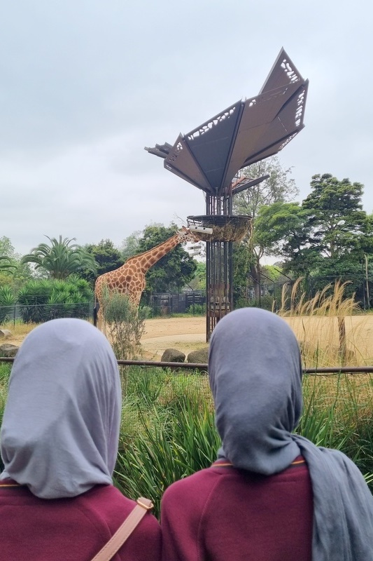 Year 7 and 8 Girls: Melbourne Zoo Excursion