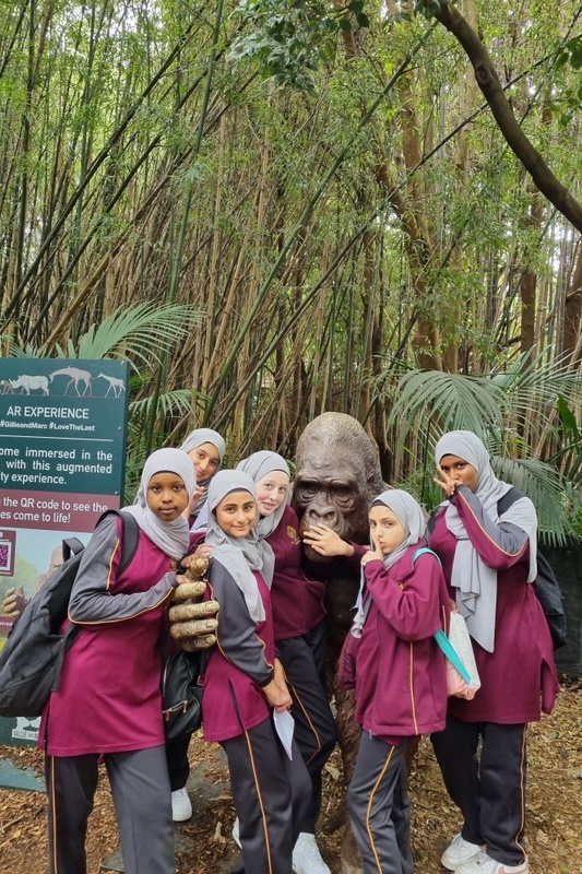 Year 7 and 8 Girls: Melbourne Zoo Excursion