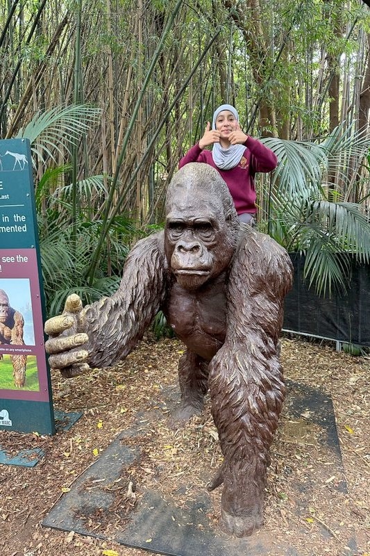 Year 7 and 8 Girls: Melbourne Zoo Excursion