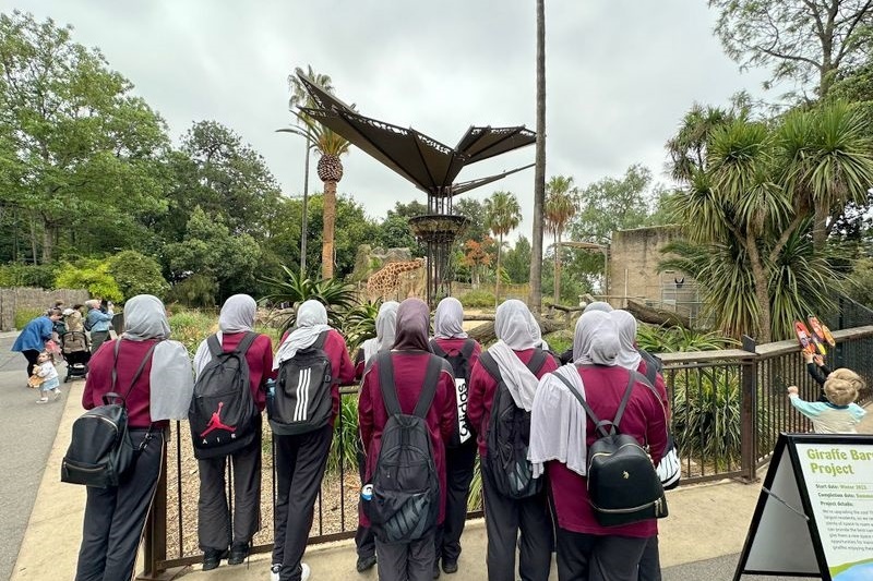 Year 7 and 8 Girls: Melbourne Zoo Excursion