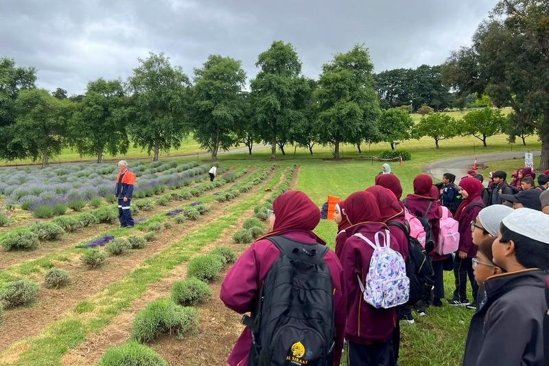 Year 3 and 4 Dojo Redemption: Lavender Farm