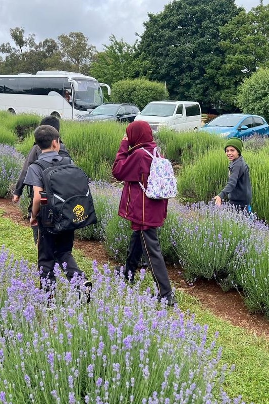 Year 3 and 4 Dojo Redemption: Lavender Farm