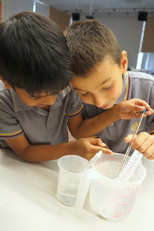 Year 2 Science Incursion