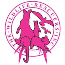 22 Feb: Wildlife Rescue Training in Mernda