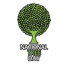 28 July: CoW National Tree Day Planting